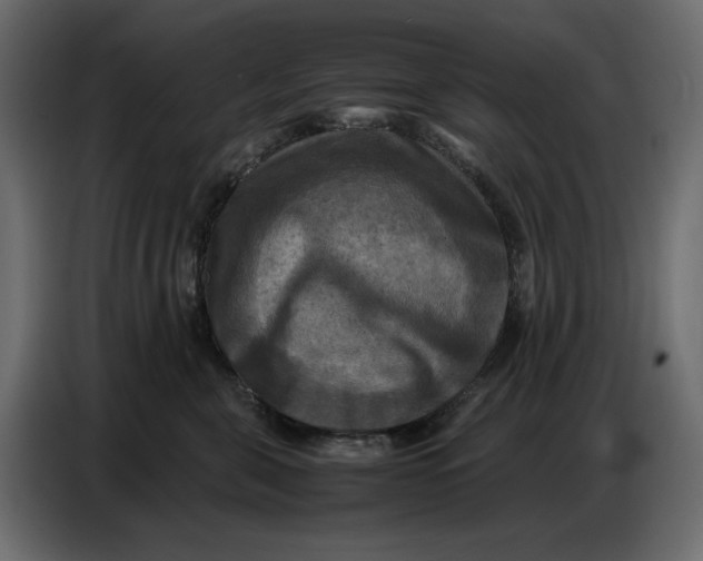 X0000086770571200705041510