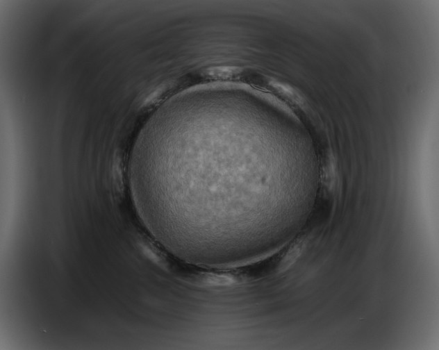 X0000086770572200705041510