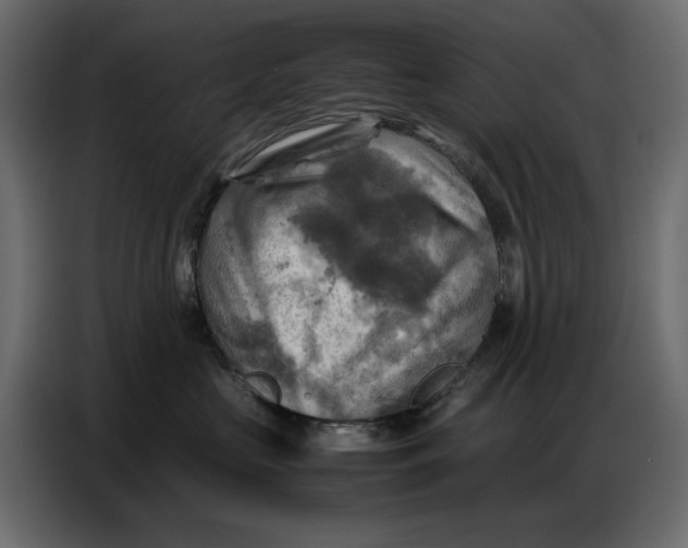 X0000086770573200705041510