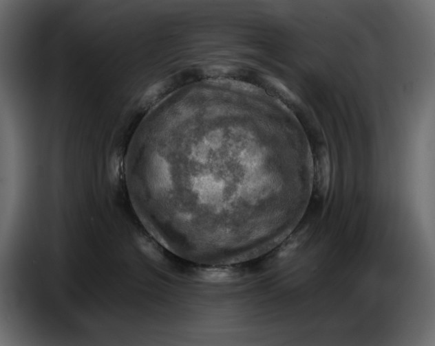 X0000086770574200705041510