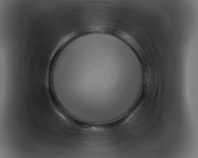 X0000086770578200705041510