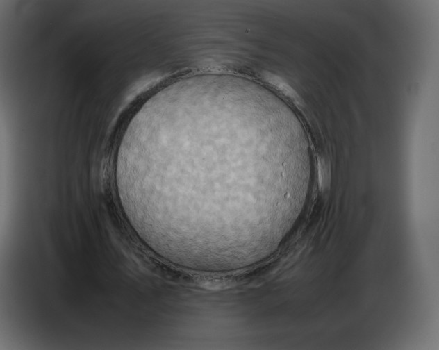 X0000086770579200705041510
