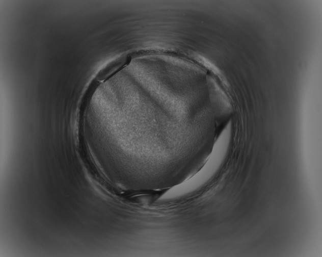 X0000086770580200705041510