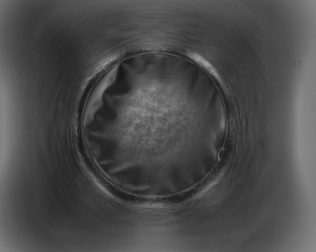 X0000086770581200705041510