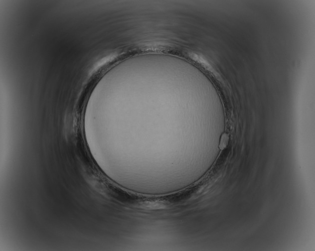 X0000086770583200705041510