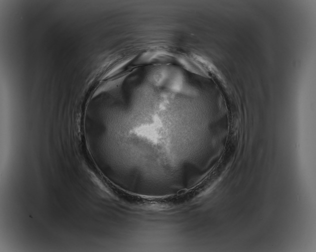 X0000086770585200705041510