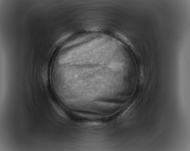 X0000086770586200705041510
