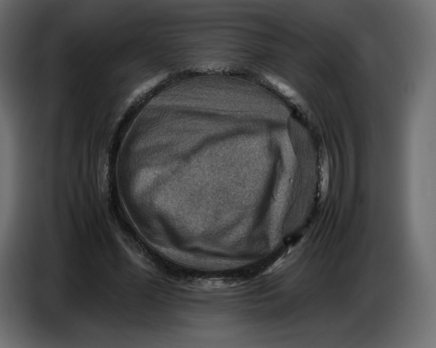 X0000086770588200705041510