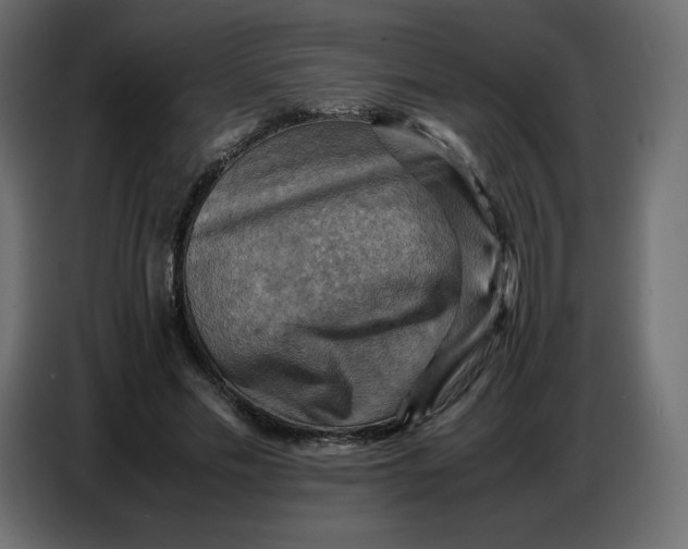 X0000086770589200705041509