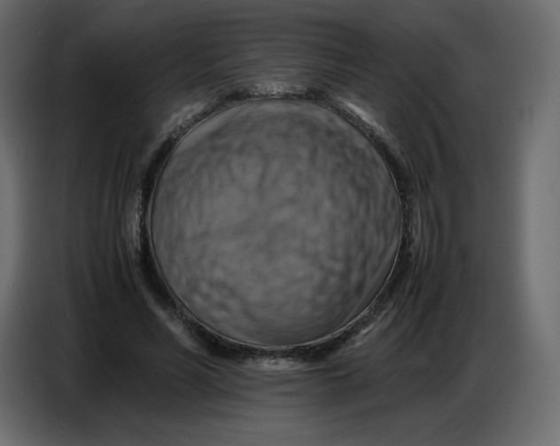 X0000086770590200705041509