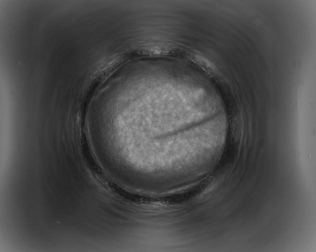 X0000086770594200705041509