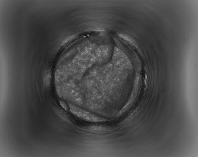 X0000086770596200705041509