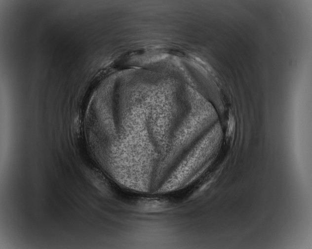 X0000086770597200705041509