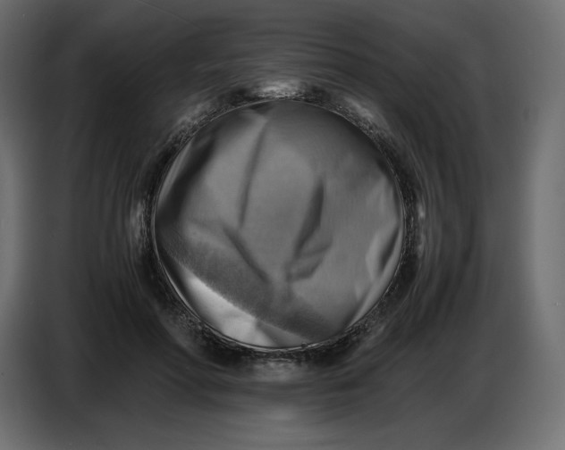 X0000086770598200705041509