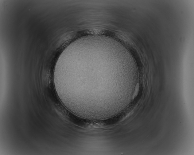 X0000086770599200705041509