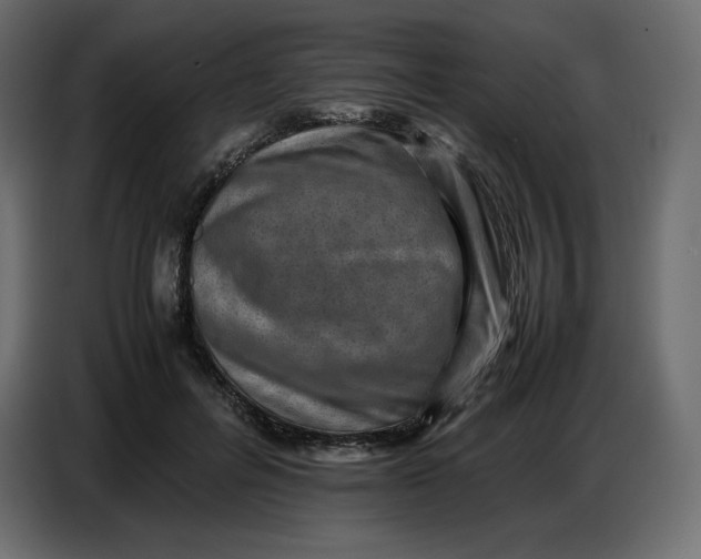 X0000086770600200705041509
