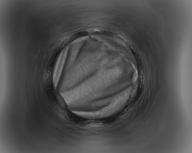 X0000086770601200705041509