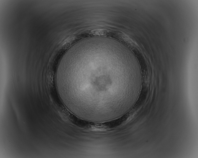 X0000086770603200705041509