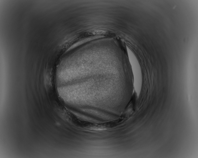 X0000086770604200705041509