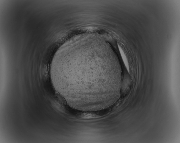 X0000086770605200705041509