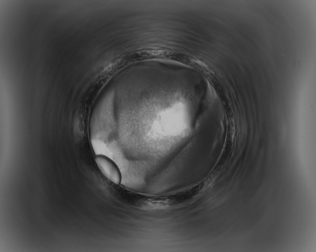 X0000086770606200705041509