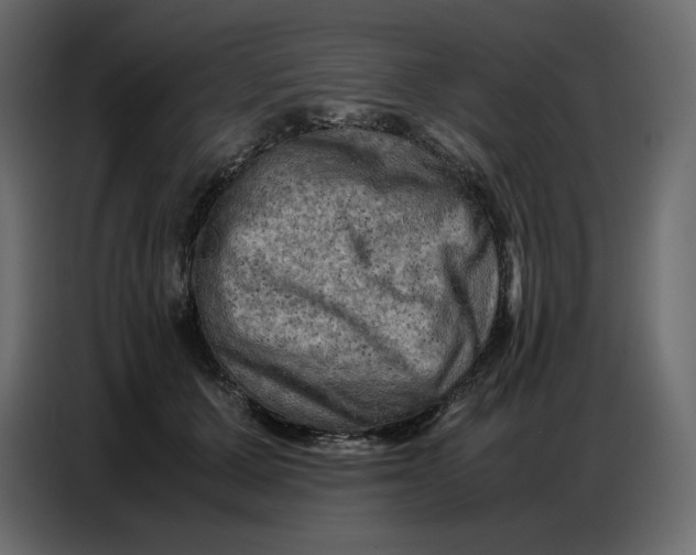 X0000086770607200705041509