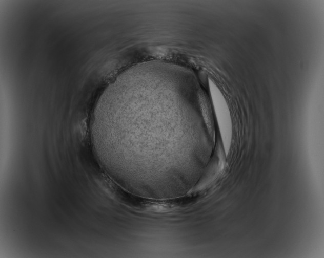 X0000086770611200705041509