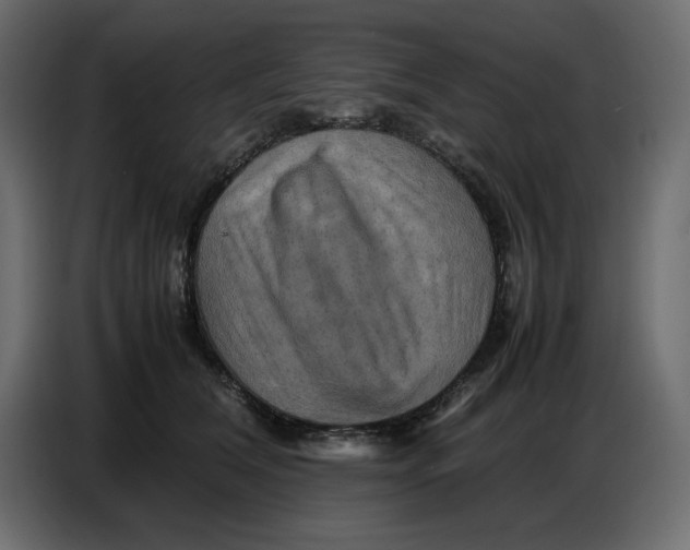X0000086770612200705041509
