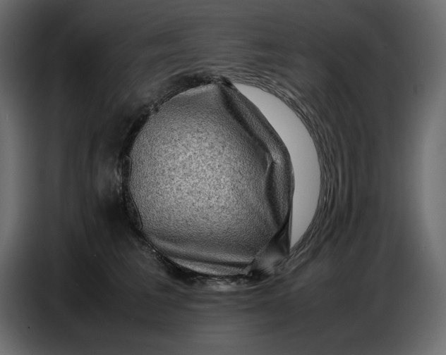 X0000086770613200705041509