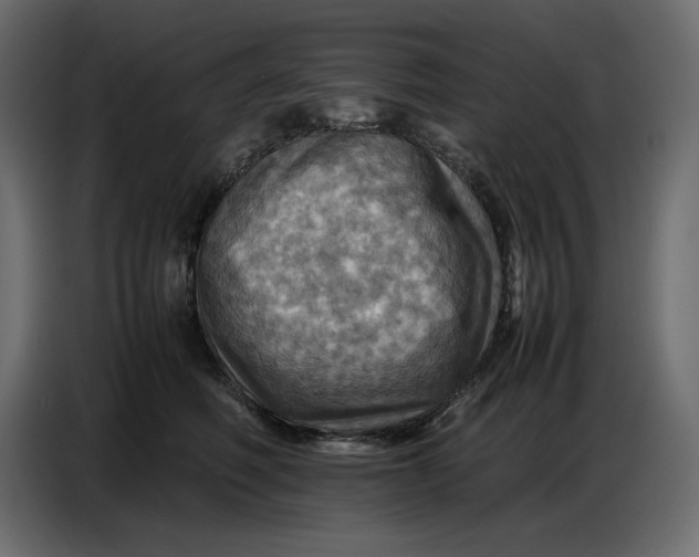 X0000086770614200705041509