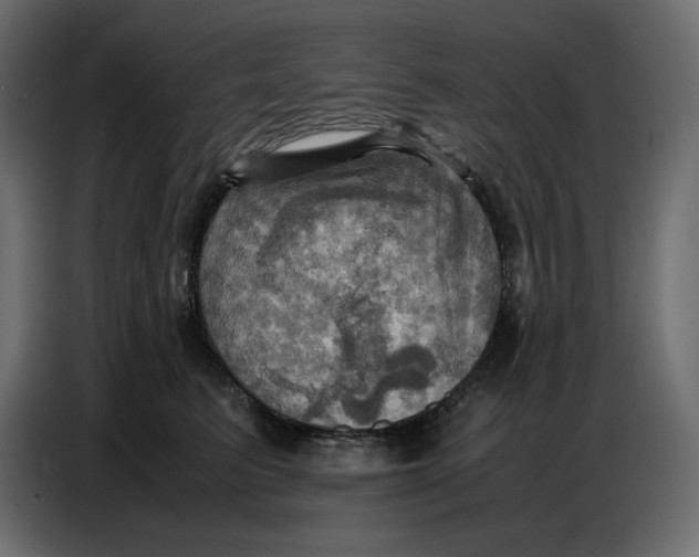 X0000086770615200705041509