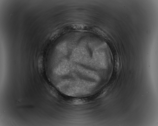 X0000086770616200705041509