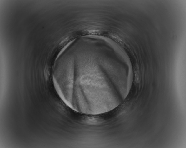 X0000086770618200705041509