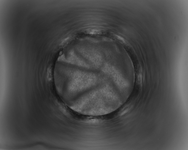 X0000086770620200705041509