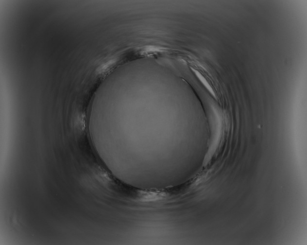 X0000086770621200705041509