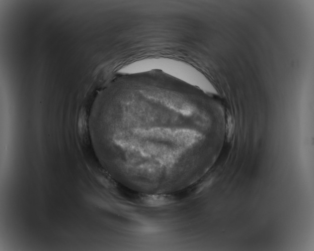 X0000086770623200705041509