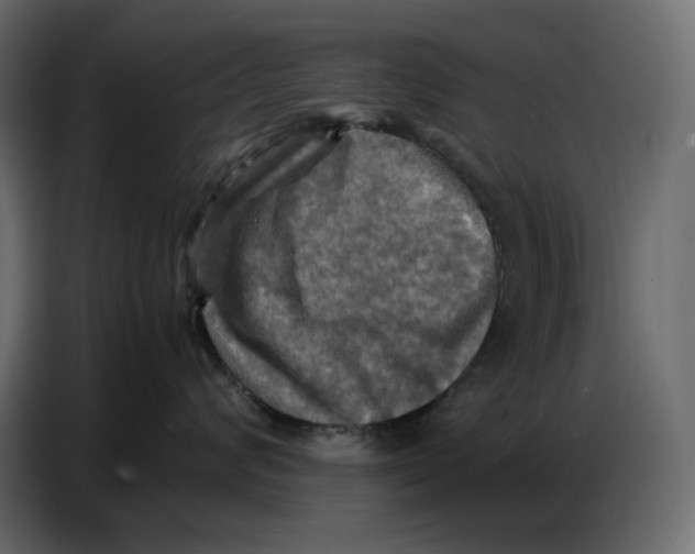 X0000086770624200705041509