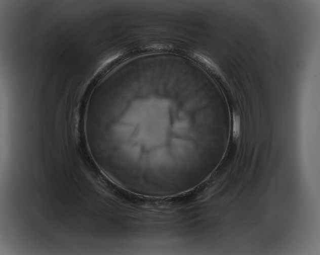 X0000086770627200705041508