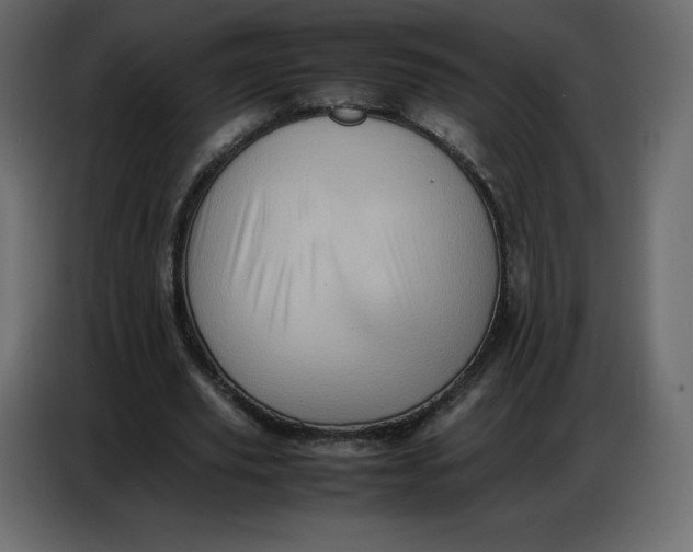 X0000086770629200705041508