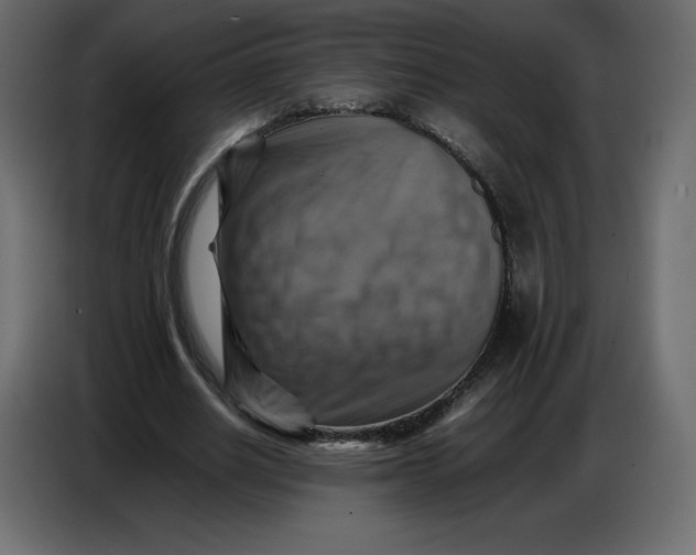 X0000086770630200705041508
