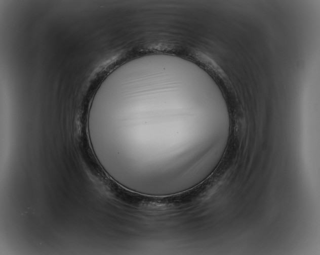 X0000086770635200705041509