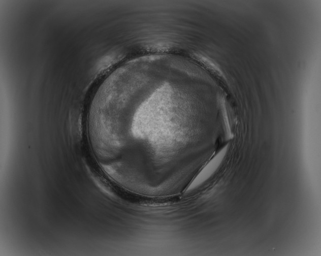 X0000086770638200705041509