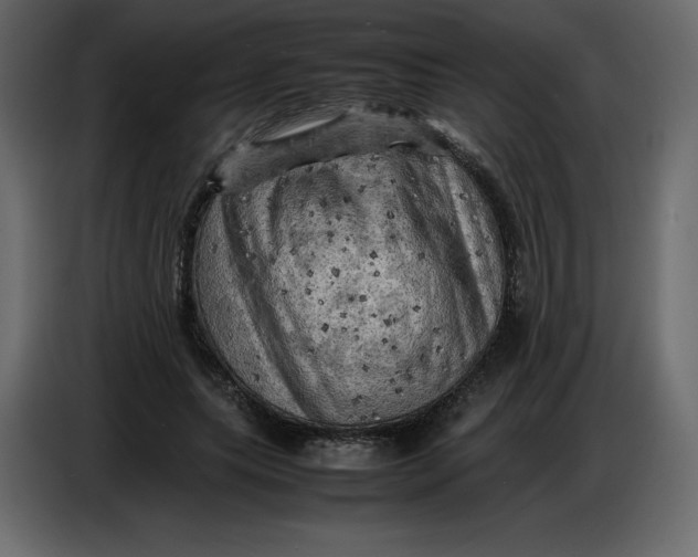 X0000086770639200705041509