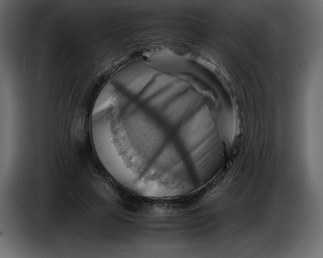X0000086770641200705041509