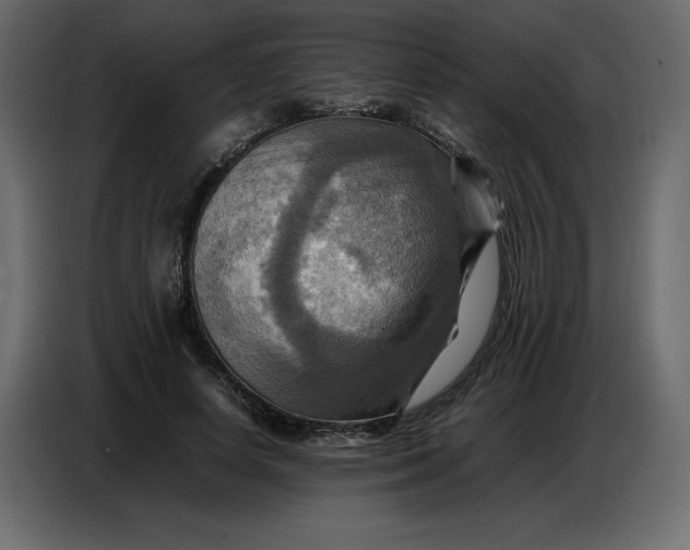 X0000086770642200705041509