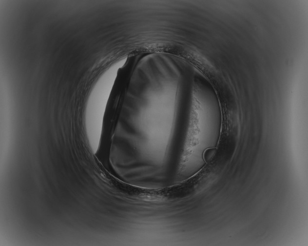 X0000086770644200705041509