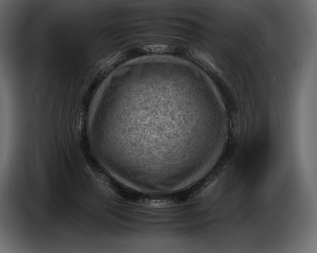 X0000086770645200705041509