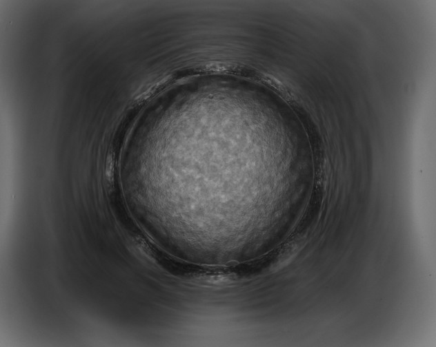 X0000086770646200705041509