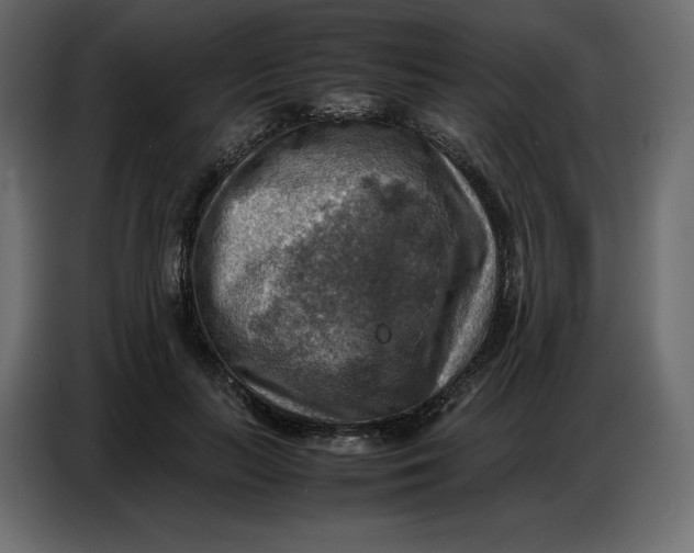 X0000086770647200705041509