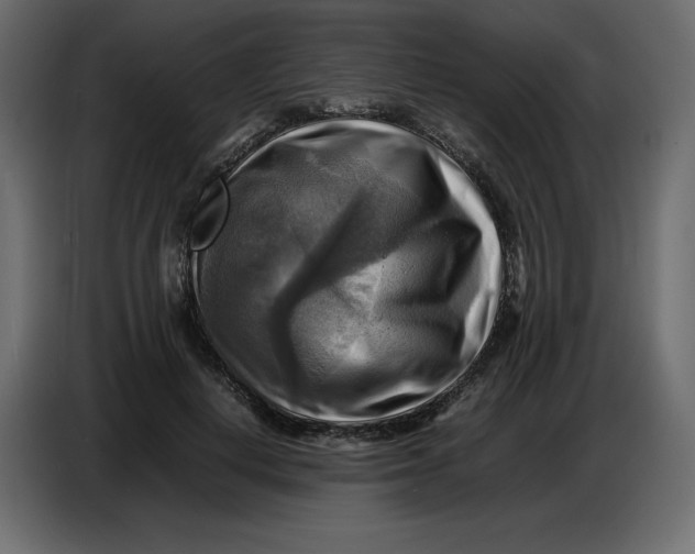 X0000086770648200705041509